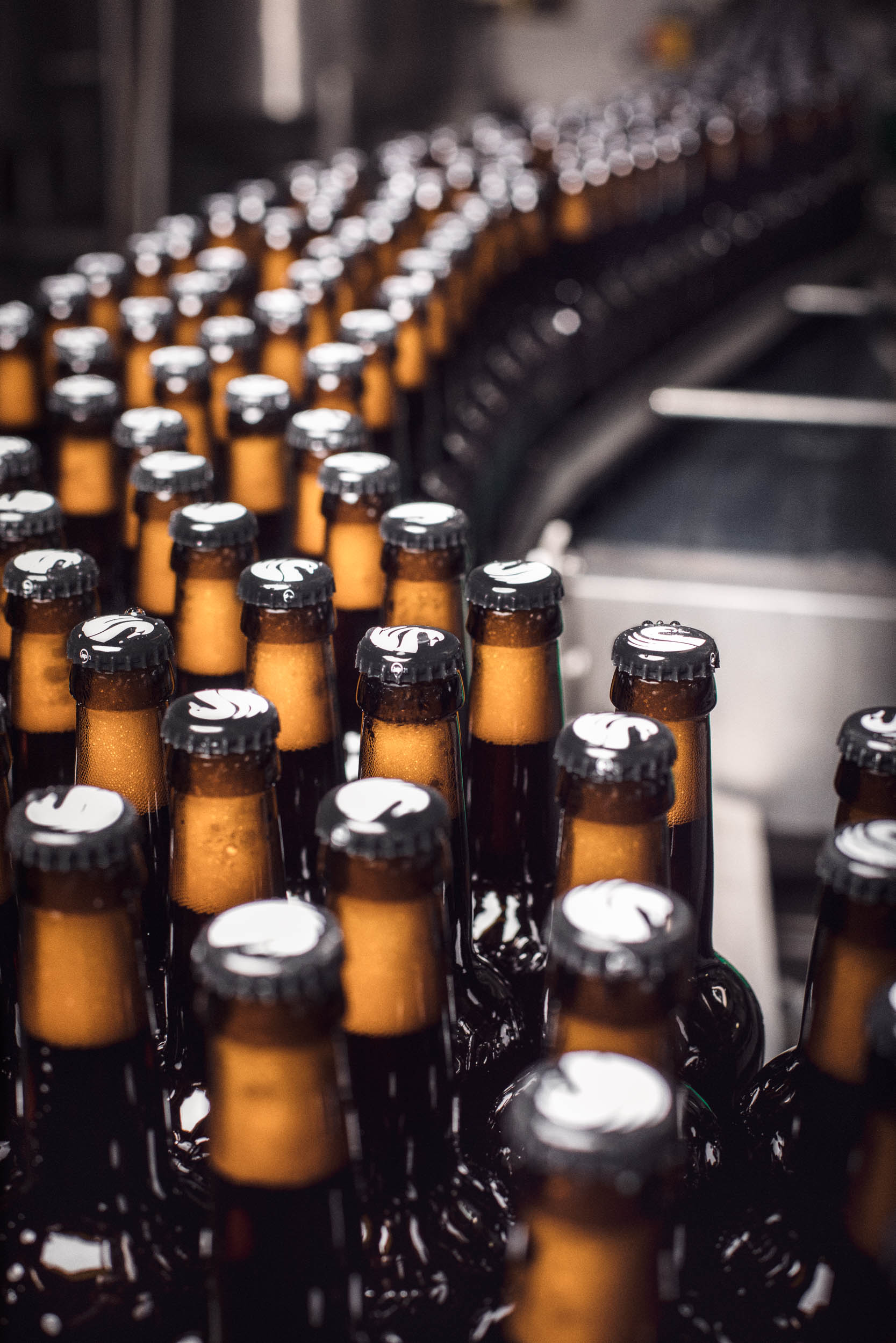 Økologisk øl brygget CO2-neutralt i Svaneke